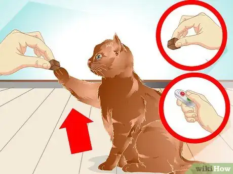 Image intitulée Teach a Cat to "High Five" Step 24